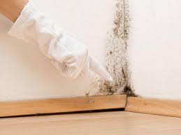 Mold Documentation for Insurance Claims in Antelope, CA